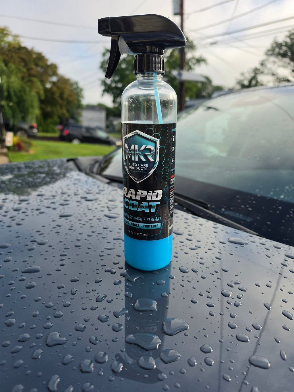 Rapid Coat Ceramic Spray Detailer